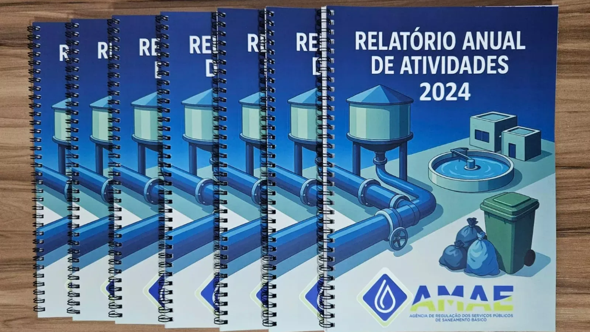 RELATÓRIO ANUAL AMAE 2024